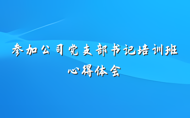 参加公司党支部书记培训班心得体会