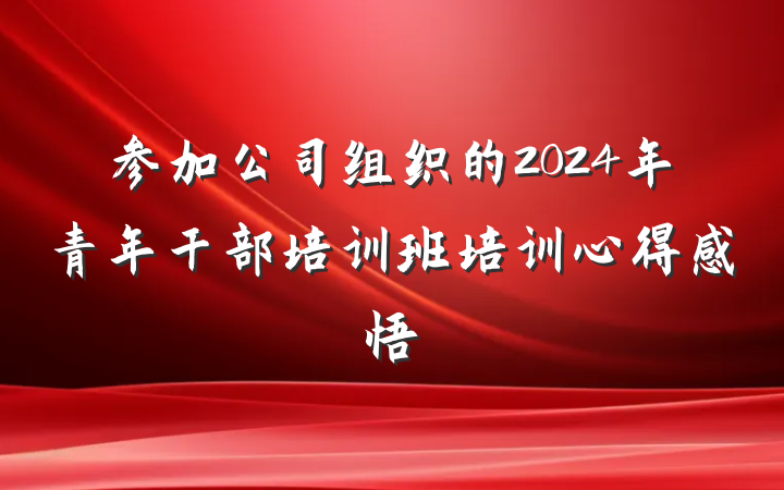 参加公司组织的2024年青年干部培训班培训心得感悟