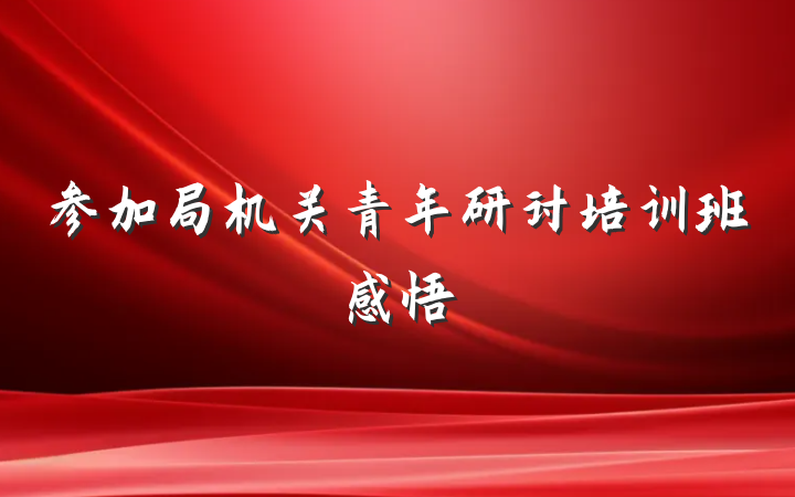 参加局机关青年研讨培训班感悟