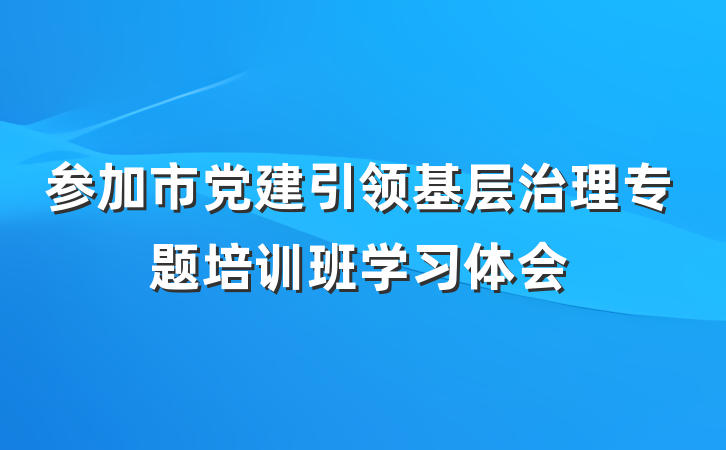 参加市党建引领基层治理专题培训班学习体会