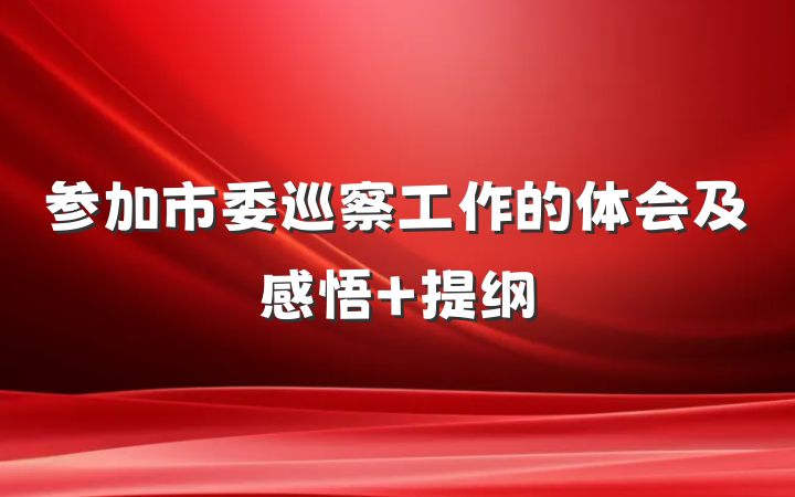 参加市委巡察工作的体会及感悟 提纲
