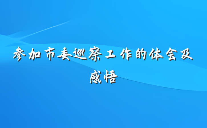 参加市委巡察工作的体会及感悟