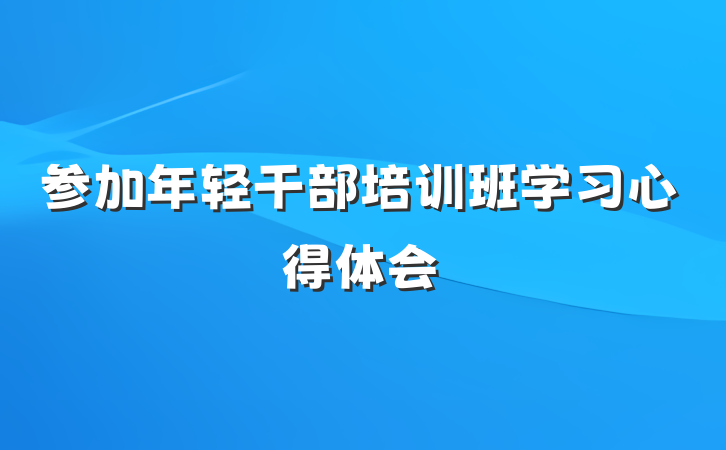 参加年轻干部培训班学习心得体会