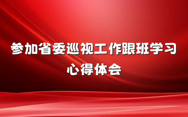 参加省委巡视工作跟班学习心得体会
