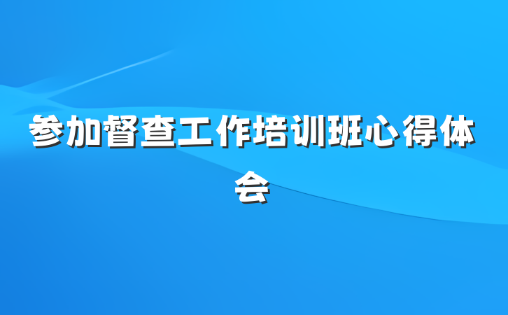 参加督查工作培训班心得体会