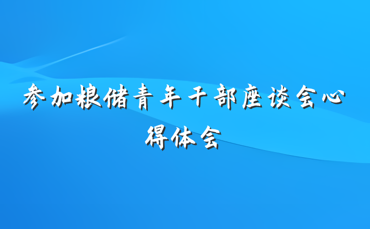 参加粮储青年干部座谈会心得体会
