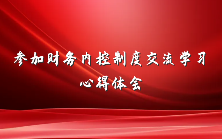 参加财务内控制度交流学习心得体会