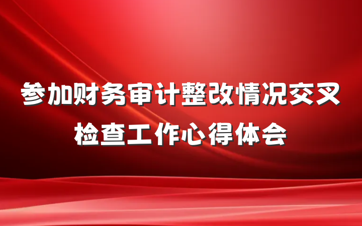 参加财务审计整改情况交叉检查工作心得体会