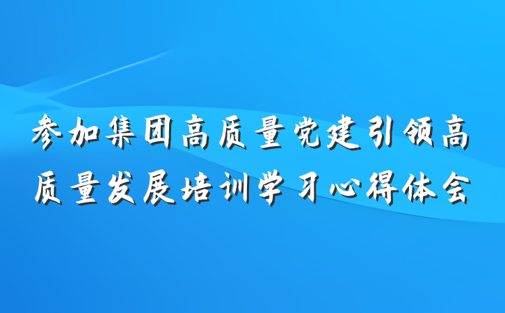 参加集团高质量党建引领高质量发展培训学习心得体会