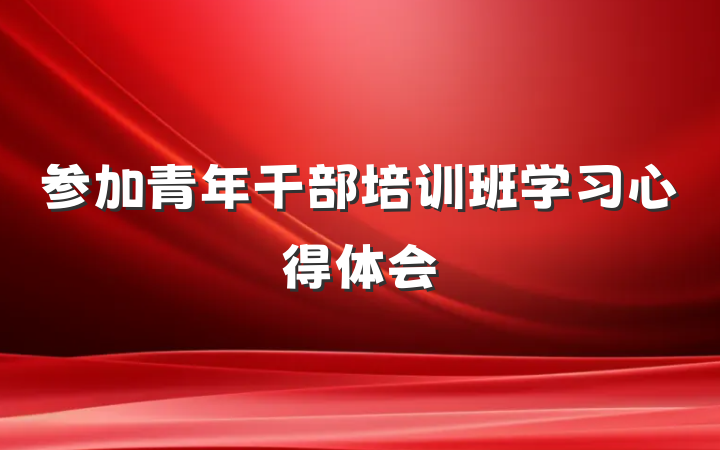 参加青年干部培训班学习心得体会