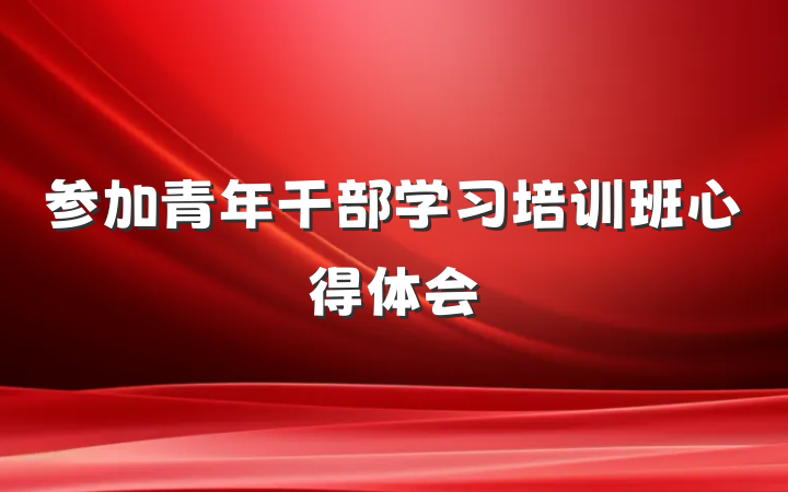 参加青年干部学习培训班心得体会