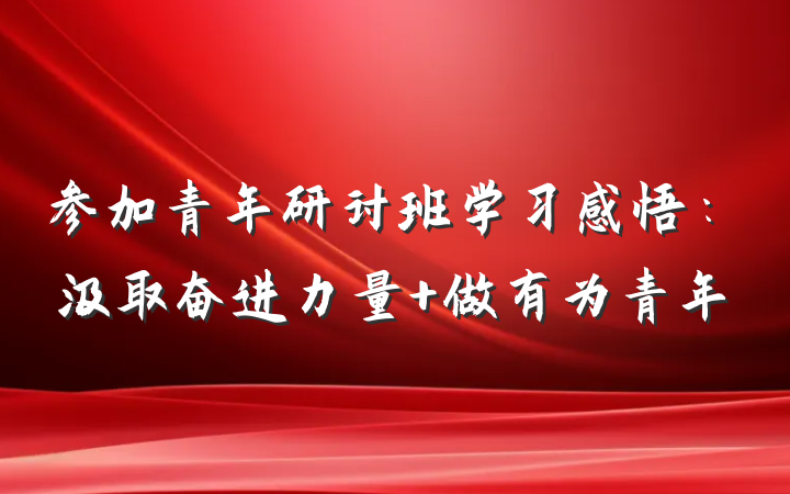 参加青年研讨班学习感悟：汲取奋进力量 做有为青年