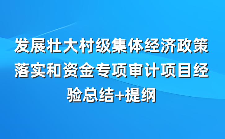 发展壮大村级集体经济政策落实和资金专项审计项目经验总结 提纲