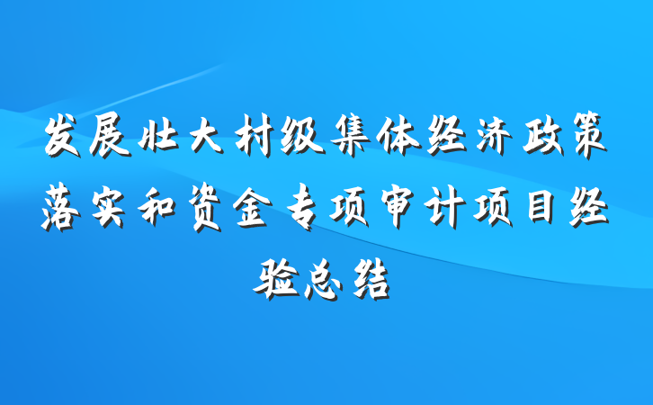 发展壮大村级集体经济政策落实和资金专项审计项目经验总结