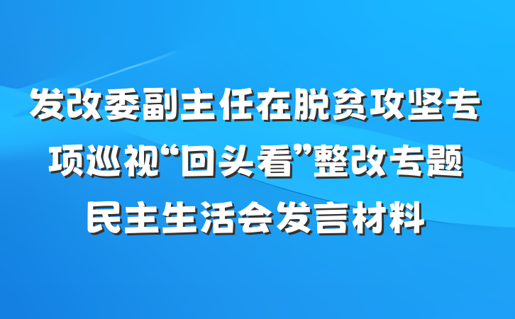 发改委副主任在脱贫攻坚专项巡视“回头看”整改专题民主生活会发言材料