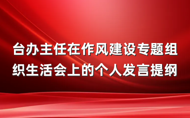 台办主任在作风建设专题组织生活会上的个人发言提纲