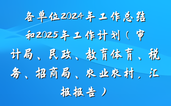 各单位2024年工作总结和2025年工作计划（审计局、民政、教育体育、税务、招商局、农业农村，汇报报告）