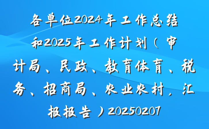 各单位2024年工作总结和2025年工作计划（审计局、民政、教育体育、税务、招商局、农业农村，汇报报告）20250207
