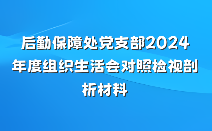 后勤保障处党支部2024年度组织生活会对照检视剖析材料
