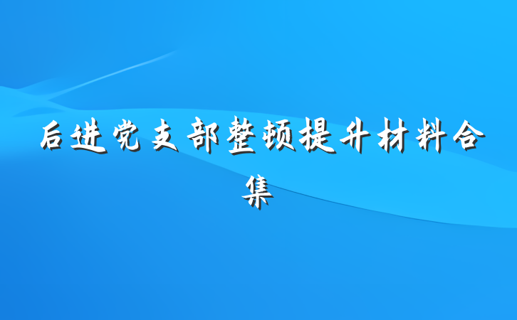 后进党支部整顿提升材料合集