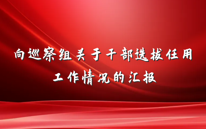 向巡察组关于干部选拔任用工作情况的汇报