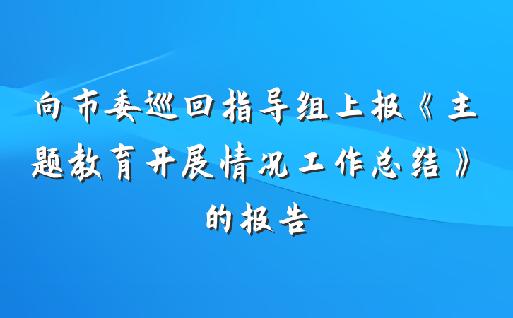 向市委巡回指导组上报《主题教育开展情况工作总结》的报告