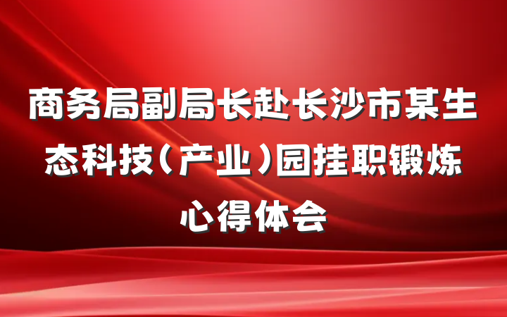 商务局副局长赴长沙市某生态科技（产业）园挂职锻炼心得体会
