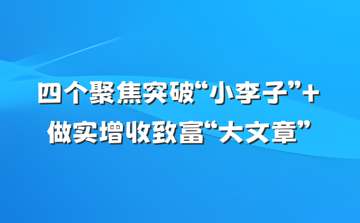 四个聚焦突破“小李子” 做实增收致富“大文章”