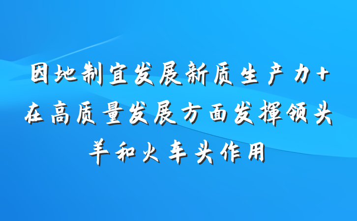 因地制宜发展新质生产力 在高质量发展方面发挥领头羊和火车头作用