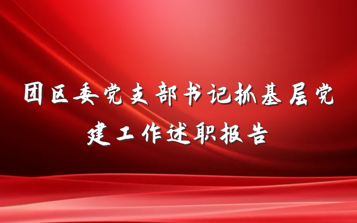 团区委党支部书记抓基层党建工作述职报告