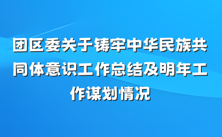 团区委关于铸牢中华民族共同体意识工作总结及明年工作谋划情况