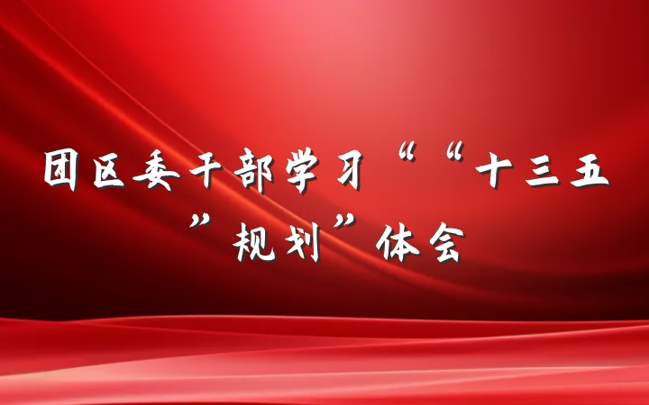 团区委干部学习““十三五”规划”体会