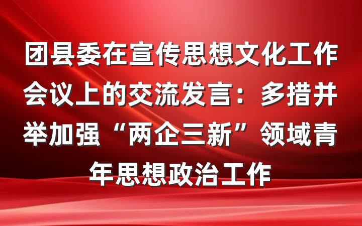 团县委在宣传思想文化工作会议上的交流发言：多措并举加强“两企三新”领域青年思想政治工作