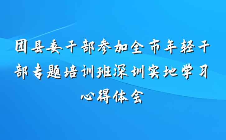 团县委干部参加全市年轻干部专题培训班深圳实地学习心得体会
