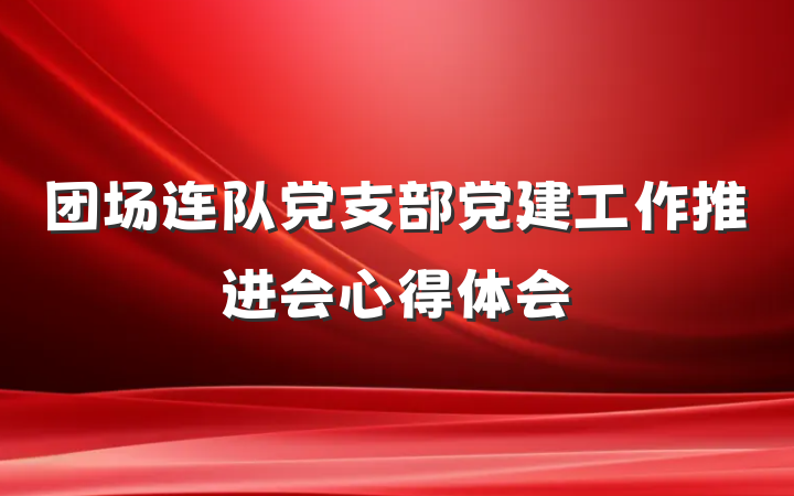 团场连队党支部党建工作推进会心得体会