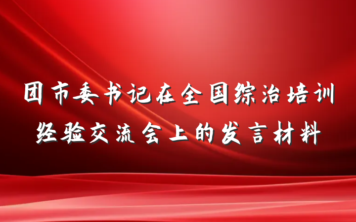 团市委书记在全国综治培训经验交流会上的发言材料