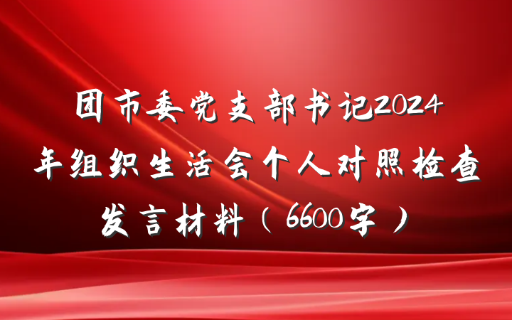 团市委党支部书记2024年组织生活会个人对照检查发言材料（6600字）