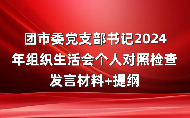 团市委党支部书记2024年组织生活会个人对照检查发言材料 提纲