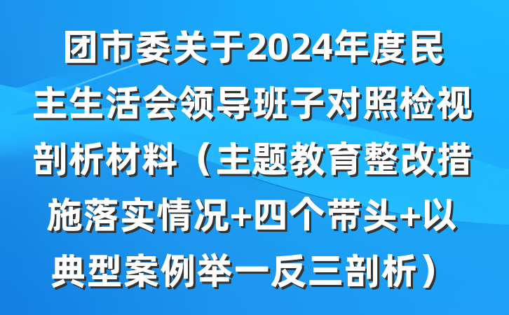 团市委关于2024年度民主生活会领导班子对照检视剖析材料（主题教育整改措施落实情况+四个带头+以典型案例举一反三剖析）