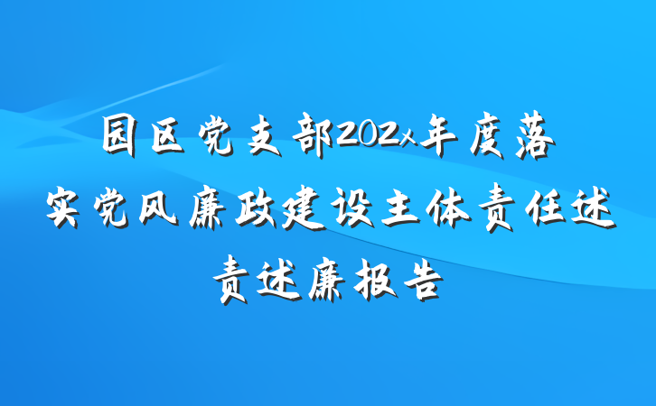 园区党支部202x年度落实党风廉政建设主体责任述责述廉报告