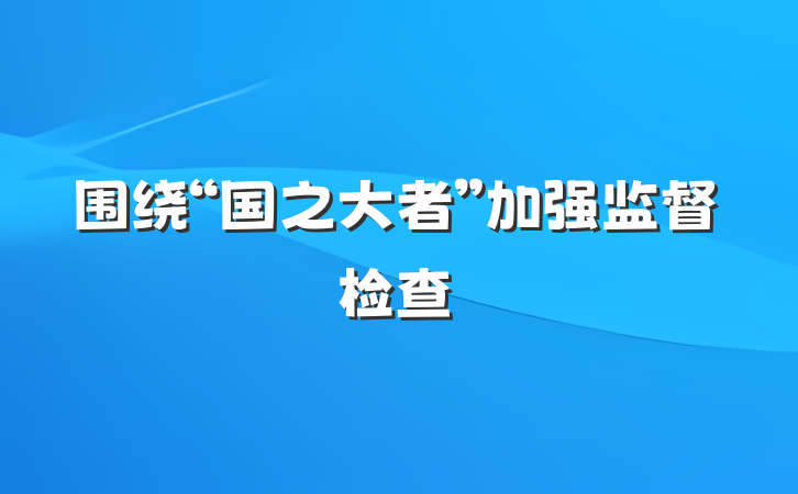 围绕“国之大者”加强监督检查