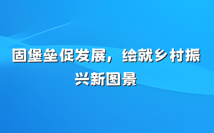 固堡垒促发展，绘就乡村振兴新图景