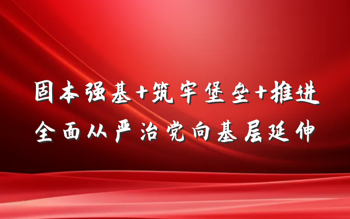 固本强基 筑牢堡垒 推进全面从严治党向基层延伸