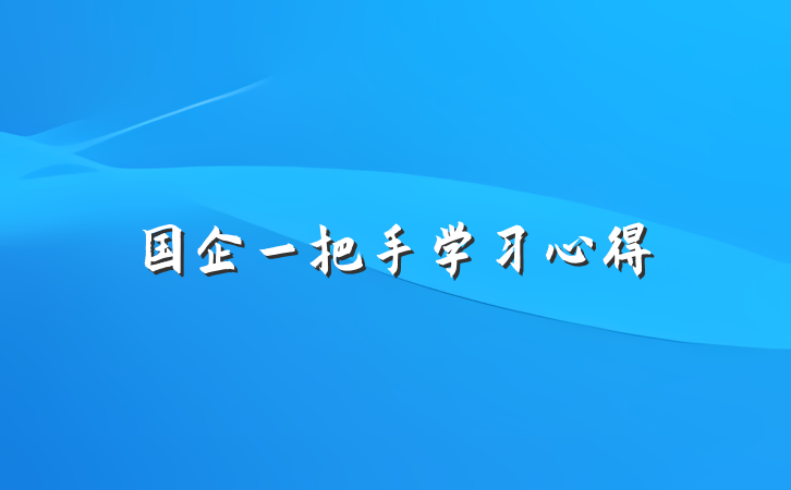 国企一把手学习心得