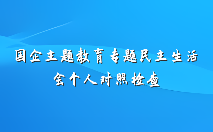 国企主题教育专题民主生活会个人对照检查