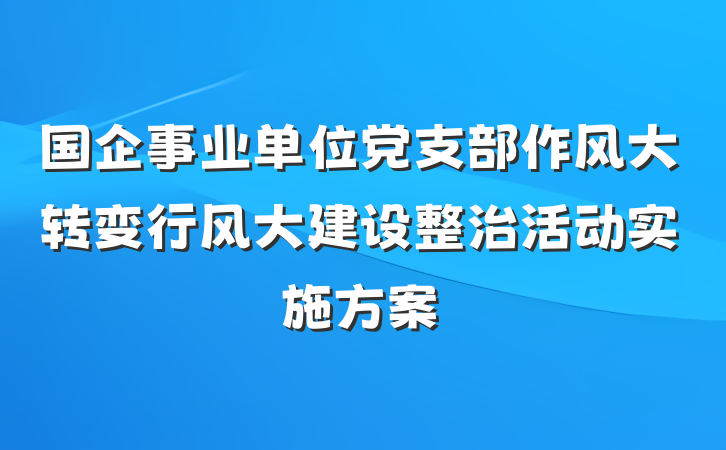 国企事业单位党支部作风大转变行风大建设整治活动实施方案