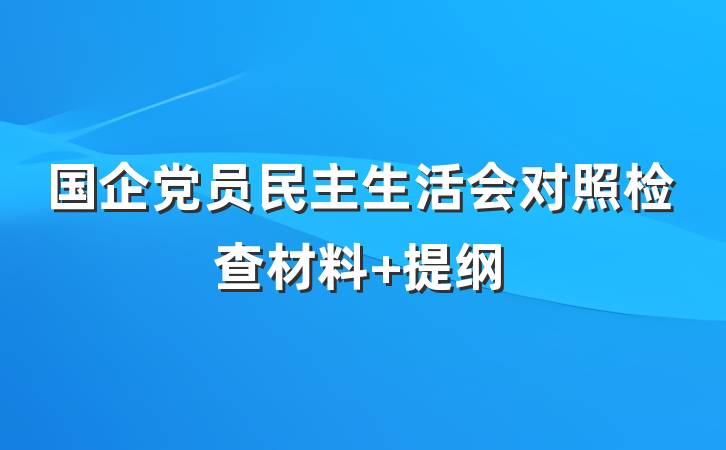 国企党员民主生活会对照检查材料 提纲