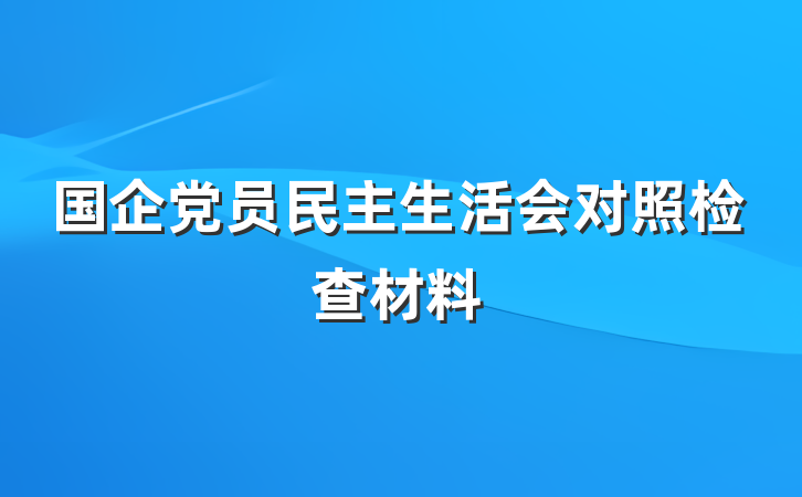 国企党员民主生活会对照检查材料