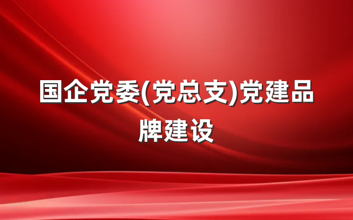 国企党委(党总支)党建品牌建设
