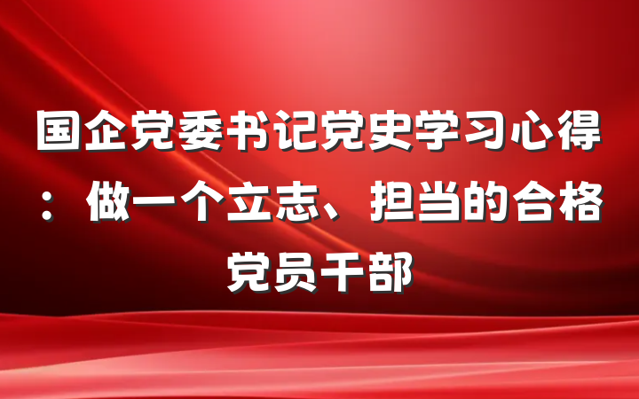 国企党委书记党史学习心得：做一个立志、担当的合格党员干部